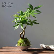 ̦�\��lؔ����ˮ�ļ�����С�����k������ؔ���ֺ��B�^�~С�Gֲ