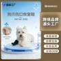 恢复四脚可以伤口狗狗