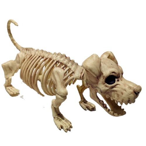 Halloween horror skeleton animal skeleton bat spider scorpion mouse snake haunted house decoration props toad skeleton