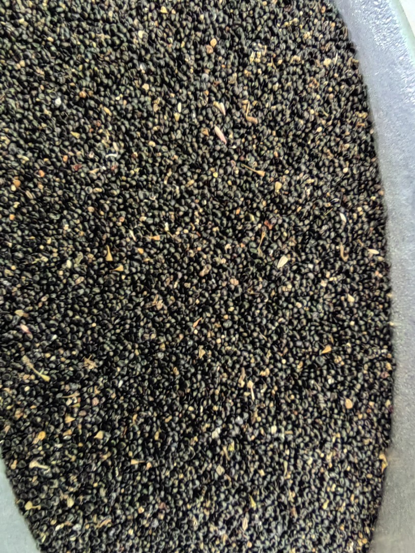 Qing Xiang Zi (Celosia argentea) — Dried Food-Herb Seeds, 500g preparation