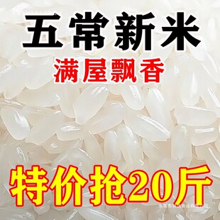 ���ޕr���ݡ������峣������20����10���r�������L����Fĥ�F�u�a