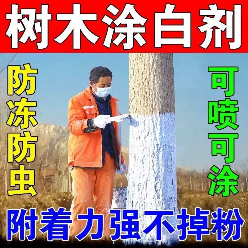 树木涂白剂果树刷白剂植物树干防虫杀菌抗寒石灰粉大树防冻保护剂|undefined
