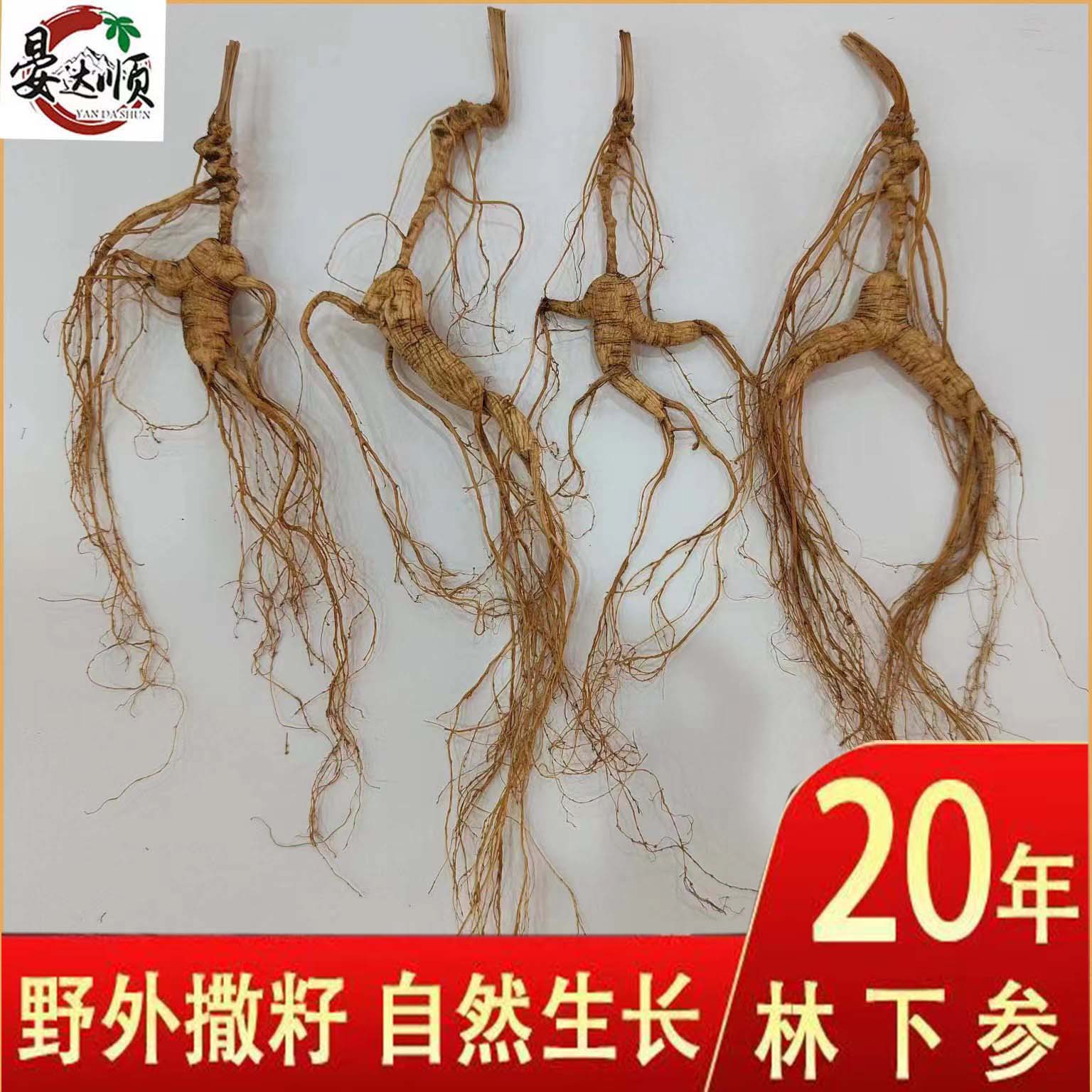 林下籽参干货20年以上散称山参打粉泡酒煲汤厂家批发林下干参代发