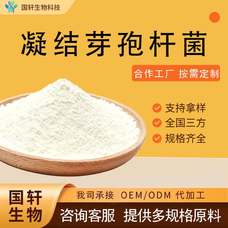 Bacillus Coagulans Guoxuan Bio Spot Free Shipping Microbial Powder Bacillus Coagulans
