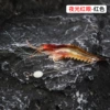 Old classic cosmetic shrimp-red