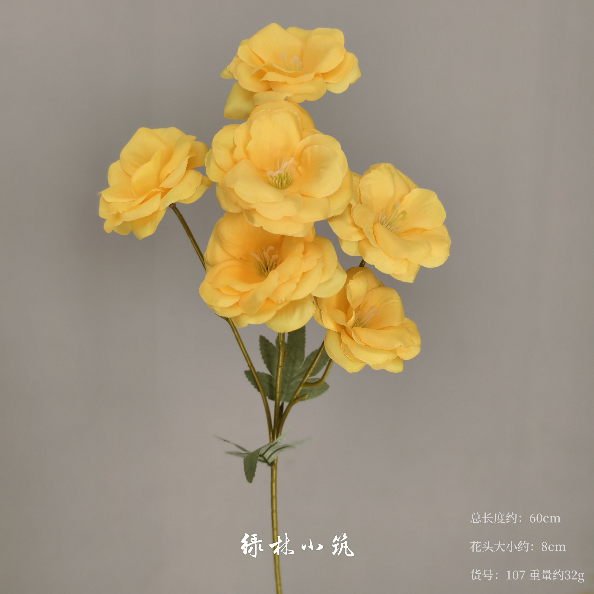 품목번호 107-6 도라지