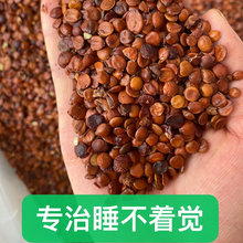 �ᗗ�����l��؛�����ᗗ���w��M�͜غ��೴���ʵؔ�ɢ�b������