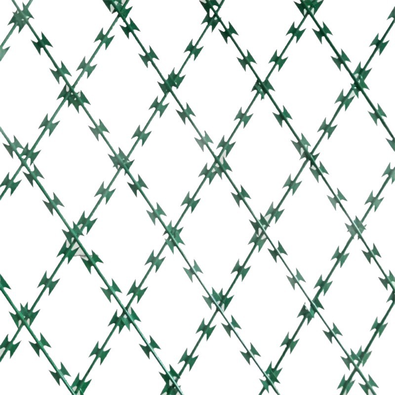 Hoja galvanizada de la inmersión caliente alambre de púas anti-robo red doble espiral hoja Red Anti-escalada alambre de púas verde