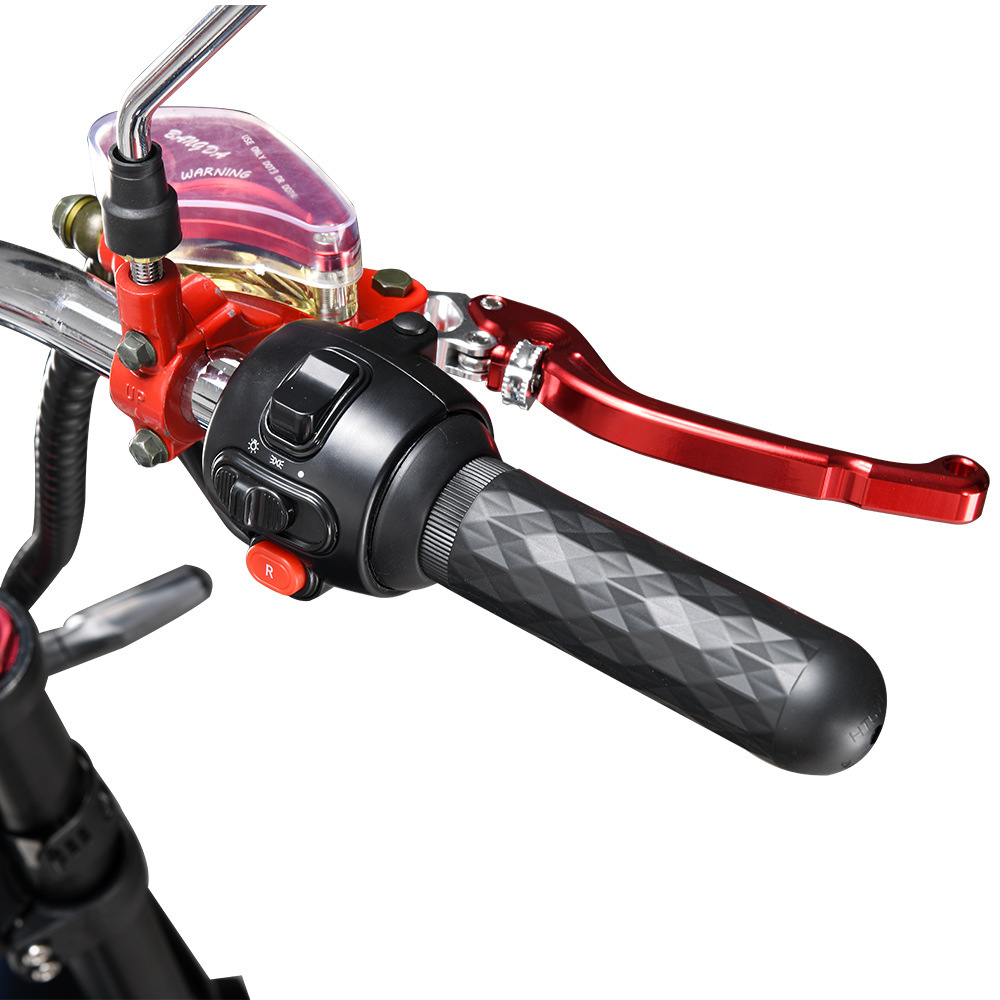 Eec Small and Large Harley Electric Vehicles, Electric Scooters, Delivery Electric Motorcycles, Harley Bikes, Electric Scooters