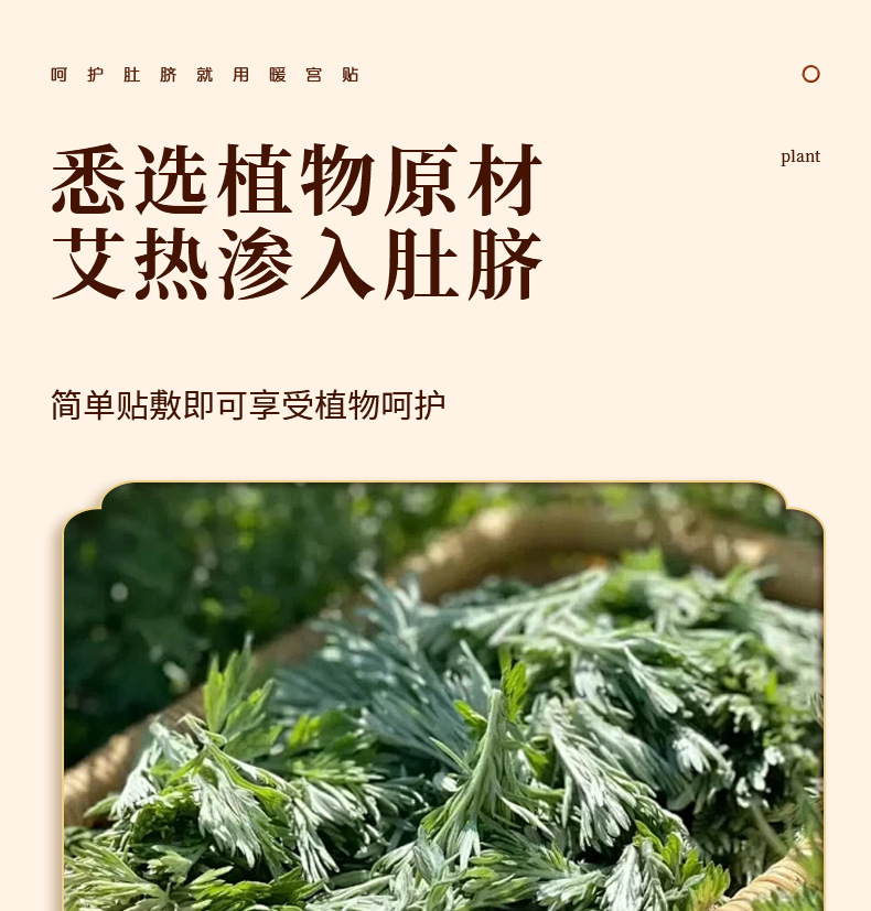 Mugwort Warming Patch Ai Cao Nuan Tie Herbal Heat Patch for Navel and Lower Back 5 Patches per Box key features