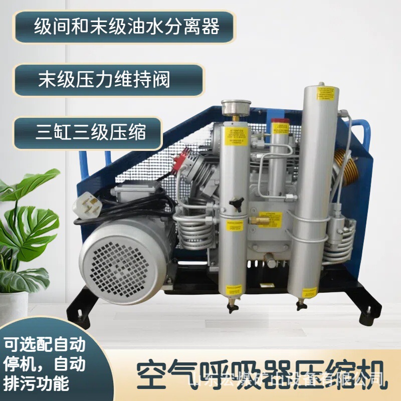 Air Respirator Air Pump 100-300L/Min Optional Automatic Shutdown Air Compressor