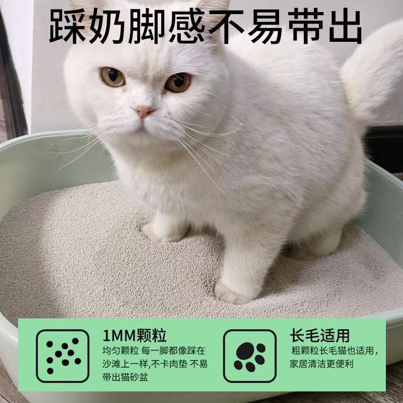 1a52d2c1-7f34-46d2-8446-ae11a6c14d92.jpe