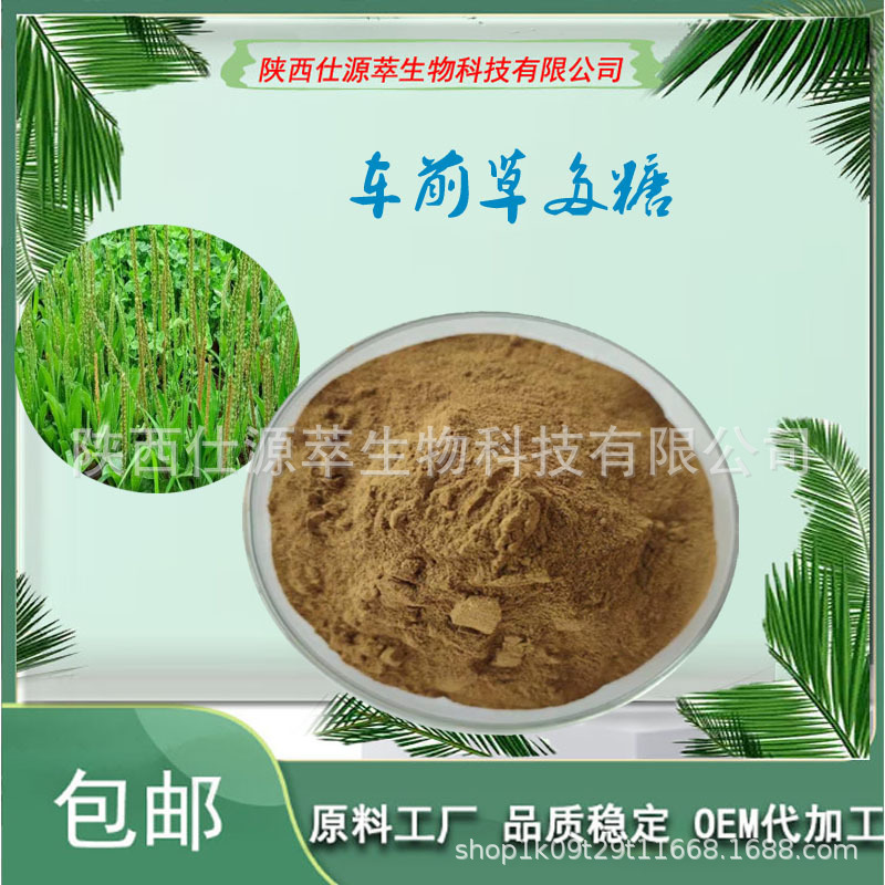 车前草多糖50% 车前草粉 车前草提取物多规格 厂家现货 量大从优