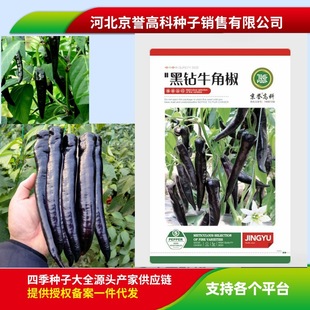 �Ϻ������N�ӠI�B�rֵ�߿ڸкú��ʯţ�ǿڸк��׷Nֲ�ù���