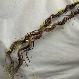 仿真绿植;仿真花;仿真藤条