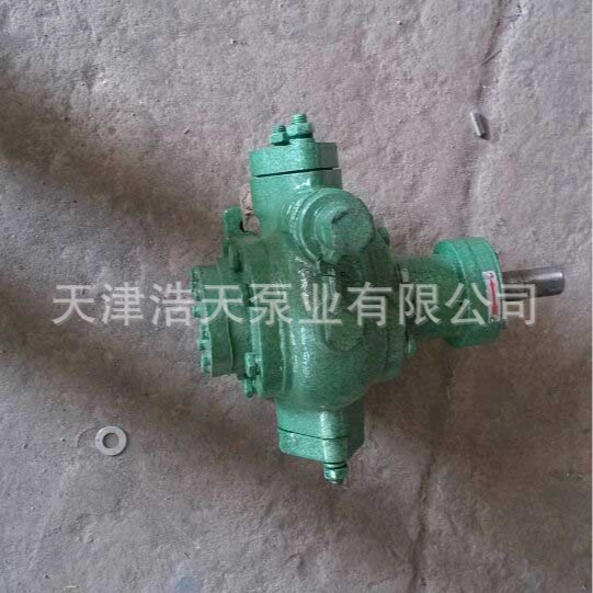 齿轮泵2CN 液氨齿轮泵 齿轮氨泵 高压液氨齿轮泵 氨水齿轮泵