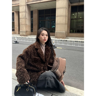 2023 Autumn Winter Spring Summer High-grade Lamb Wool Coat Women's Mid-length Lazy Wind Teddy Bear Thick Fried Street Loose