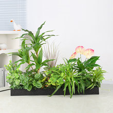 ���滨�ٲݷ����Gֲ�쾰�M�ϑ���������ϻ��b��ۻ����辰�[�O