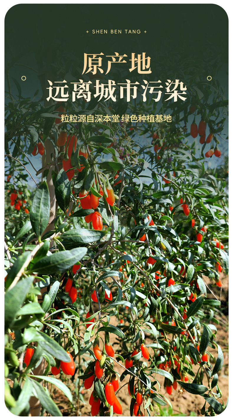 Black Goji Berry and Red Goji Gift Box Set 150g 15 Jars Ningxia Goji Berries for Wellness Tea quality and texture