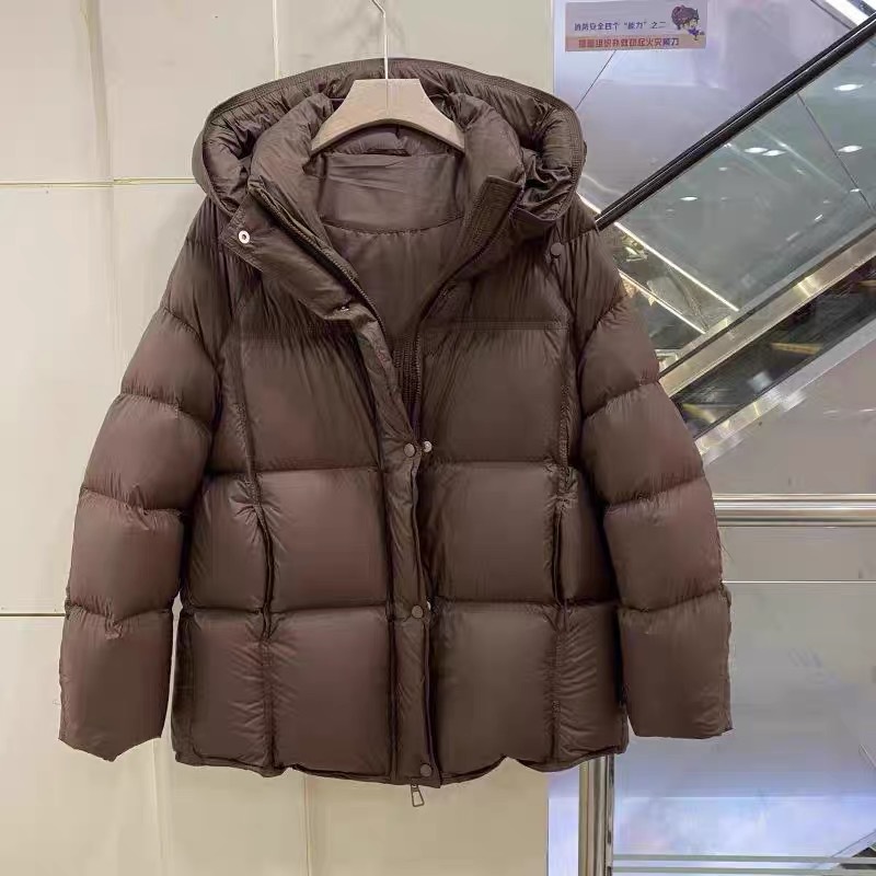 微信图片_20250112212202