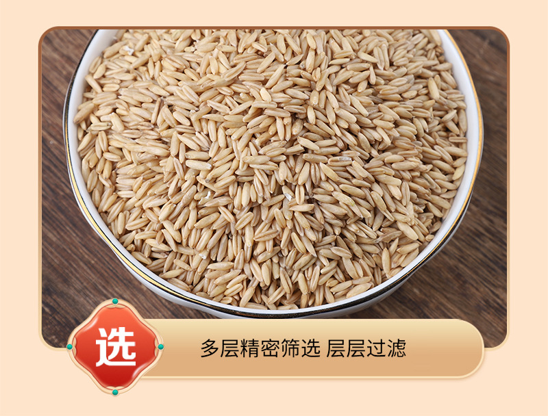 Cooked Oat Groats 500g Low Temperature Roasted Whole Grain for Porridge and Milling in use