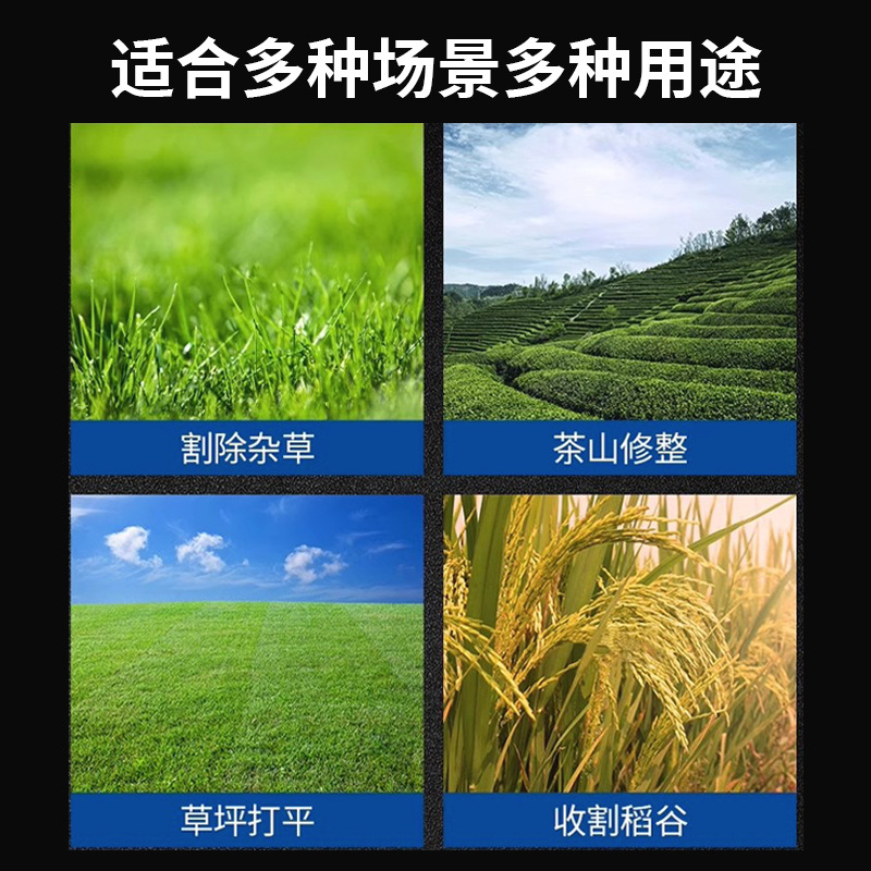 主图2.jpg