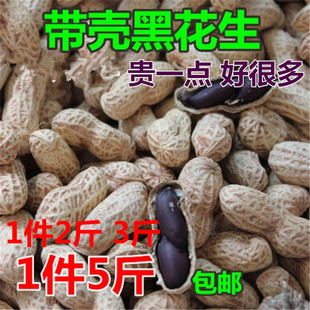 ��Ϻڻ���2026����؛���������ڻ�������ն��خa��Ƥ������