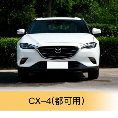 Cover, Reversing Lens Turn Signal – Rearview mirror/rearview mirror