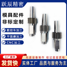 SKD塑胶模具配件包装瓶胚瓶盖成型模具镶件 非标型腔吸头芯子镶针