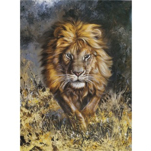 �����L�ͮ������ͮ��L�������P���������r�ͮ��S���ա����ߘsҫ��