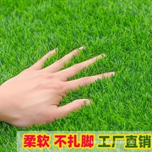 �����ƺ�˹���Ƥ��̺����Gɫ�؉|�׃��@�����䁉|������ٲ�ƺ