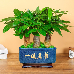 ��ðlؔ�����Կ͏d�_�I�ͶYǰ̨�����k���ҾGֲ�҃���ؔ����ֲ��