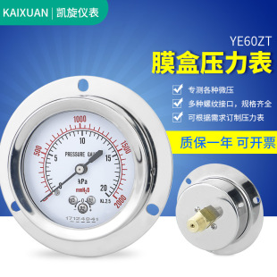 �S��߅Ĥ�Љ�����YE60ZT ���P�΢����KPa��尲�bȼ���ǧ����