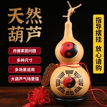 ��Ȼ���J�[���ش���ʹ�̖�_�ڌ����J�������X�M������_�ں��J