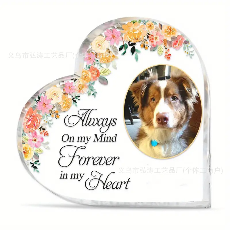 10*10*1 사랑 사용자 정의 모델 10