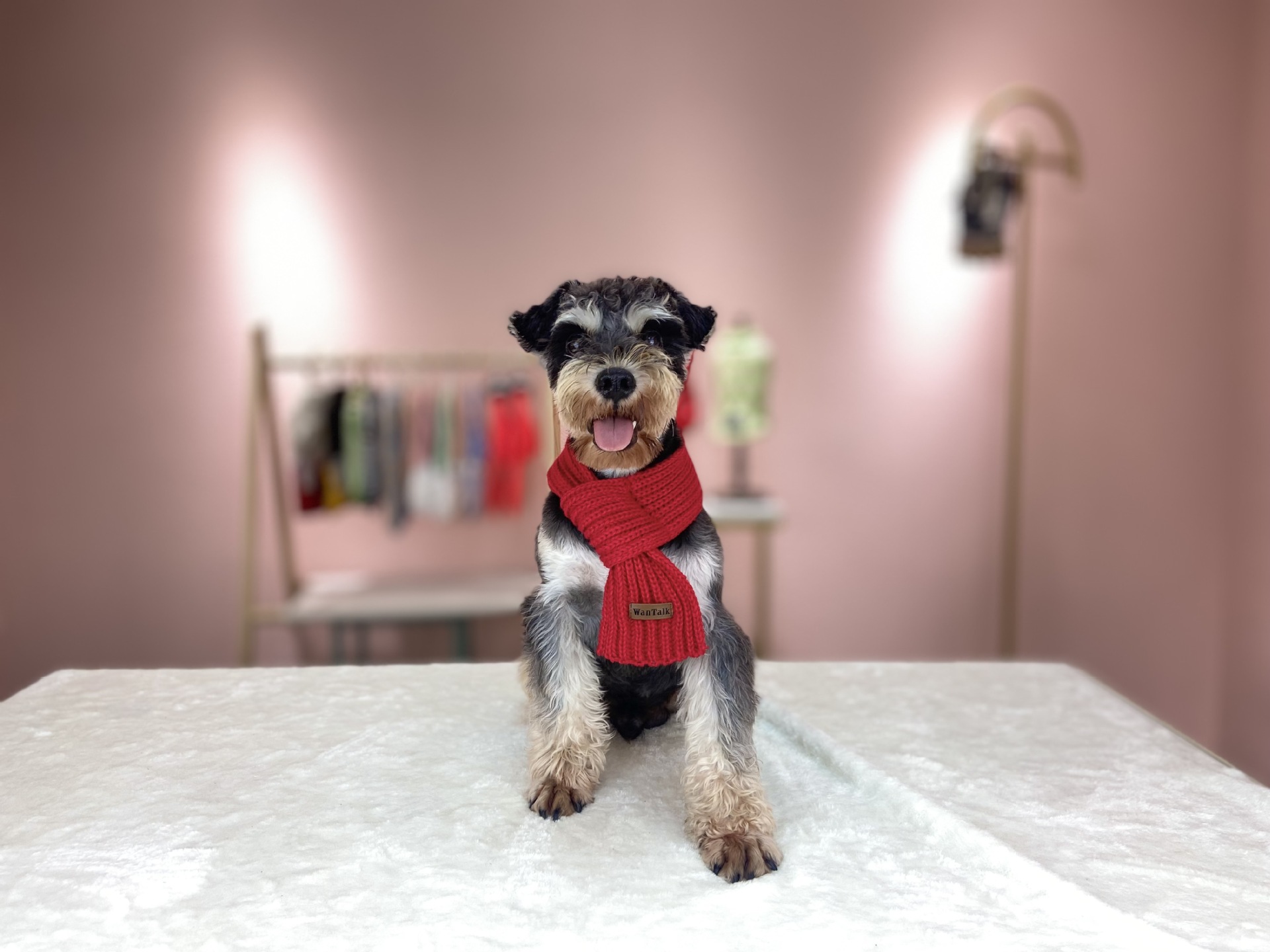 ﱣůΧڲʳ֯ΧιΧװƷ