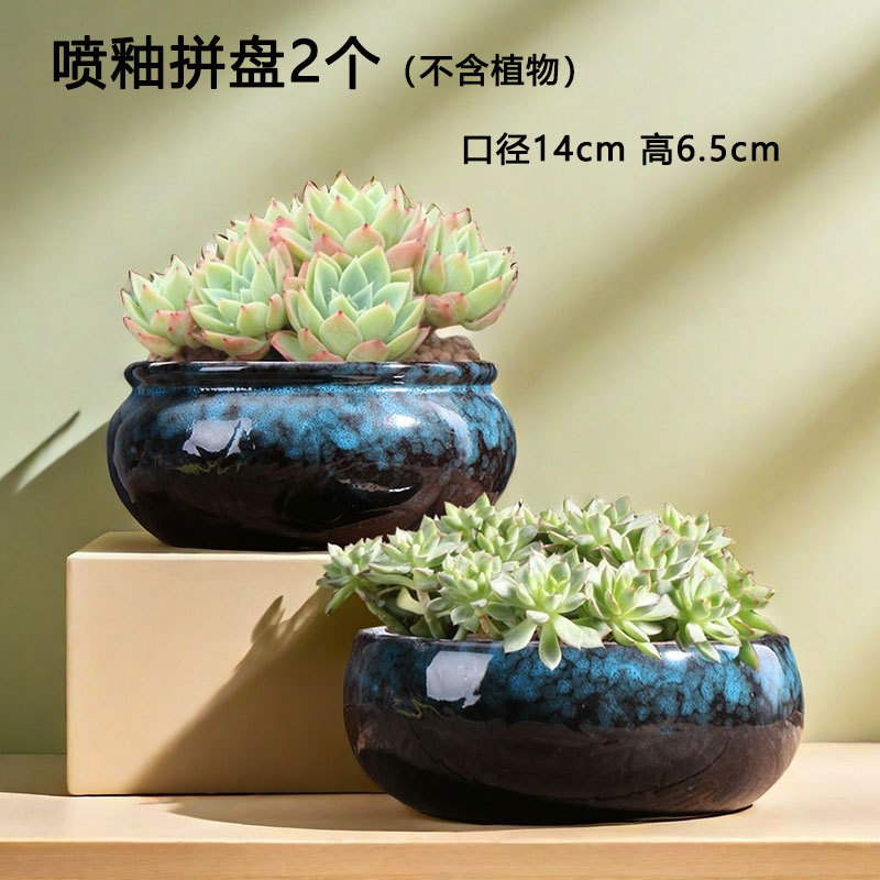 Placa grande y pequeña, maceta suculentas, planta verde, carne doméstica, maceta especial de cerámica de gran diámetro, venta directa de fábrica al por mayor