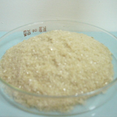 ţBSA(�������)-10G