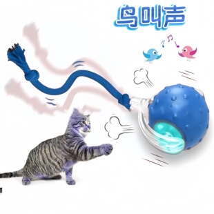 �羳؈����ߝL�L����ҧ��؈������˽␞������������Ʒ�������