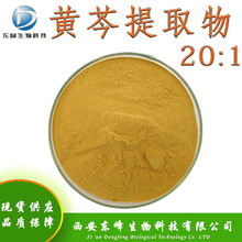20:1黄芩提取物 黄芩粉现货供应黄芩苷量大从优水溶性黄芩提取物