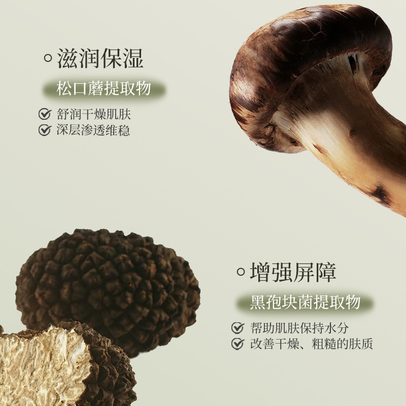 Muscle Secret Mushroom Mushroom Mushroom Limpieza de aminoácidos suave y limpia espuma de rejuvenecimiento densa y refrescante fabricante de nutrientes de piel