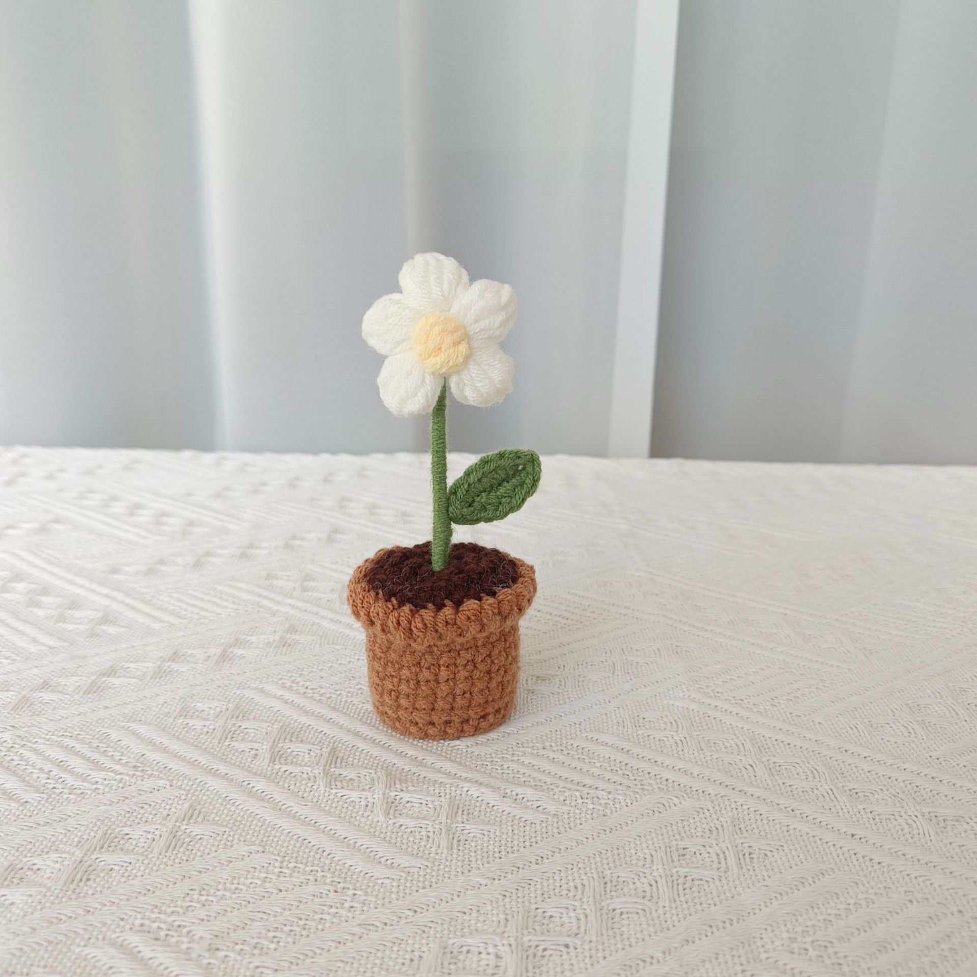 흰 퍼프 꽃 화분
