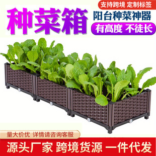 �̨�N����Nֲ���L���ηN���� ���ϻ��� ���⻨���픷N������