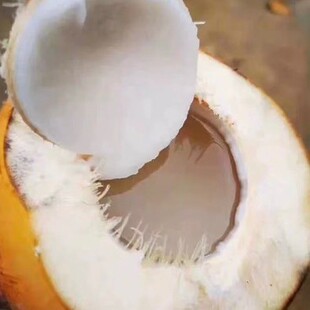 ���r�����S��Ҭ��9���b��Ƥ��Ҭ�ЋD�����Ꭷˮ���tҬҬ������