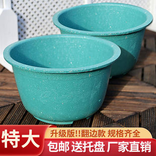 �ش�̖��֬�A����ͥԺ�N���ڏ������z��Ӻ��F�������ش�����