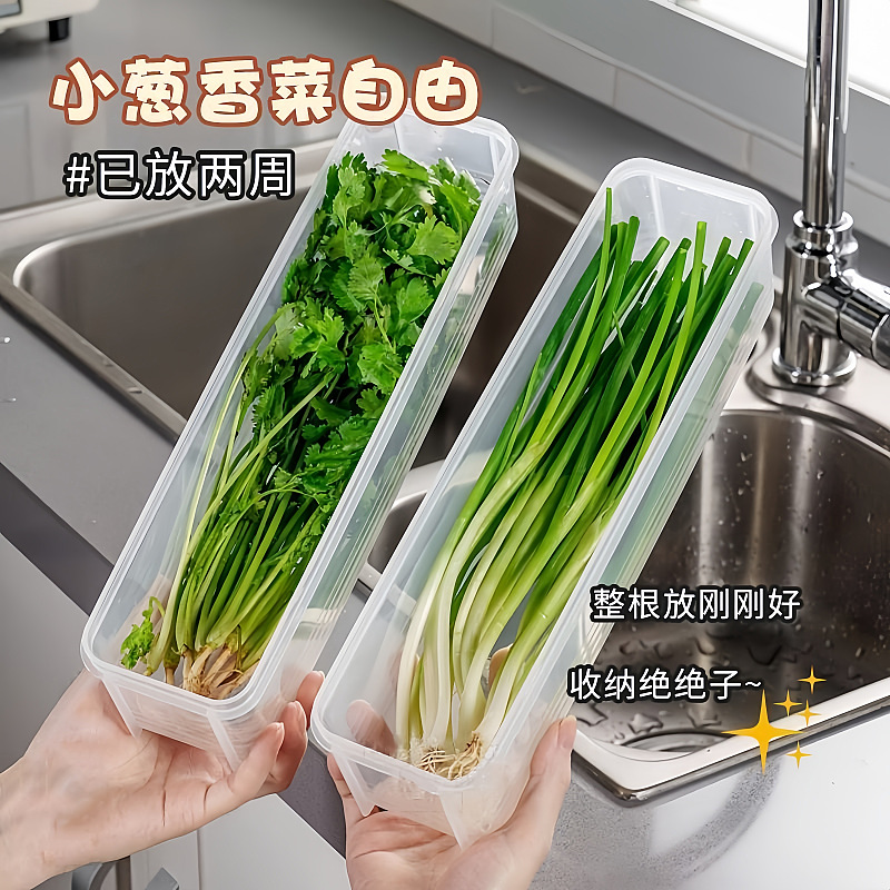 Preparación de verduras, cilantro, cebolla verde picada, caja de almacenamiento, refrigerador, artefacto de conservación de alimentos frescos con tapa portátil, preparación de fideos, cebolla verde, jengibre, ajo, conservación fresca image 3