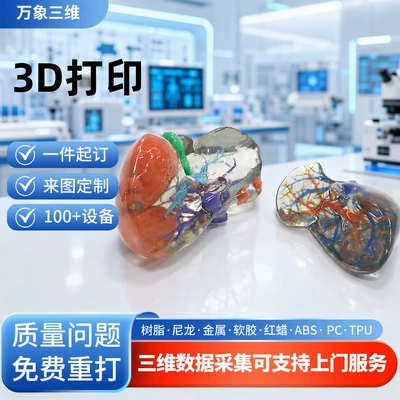 3D Printed Medical Prototype Model, 3D Printed Resin Prototype Model, Rapid Prototyping, Custom Processing from Provided Drawings (Industrial molds)