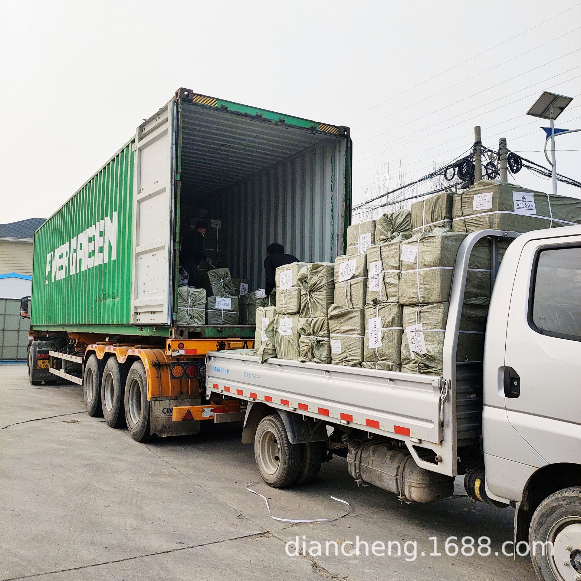 POMELO_20221118100925_fast