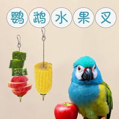 オウム鳥用果物フォークオウムステンレス野菜トウモロコシリンゴ玩具フォーク鳥餌器オウム用品