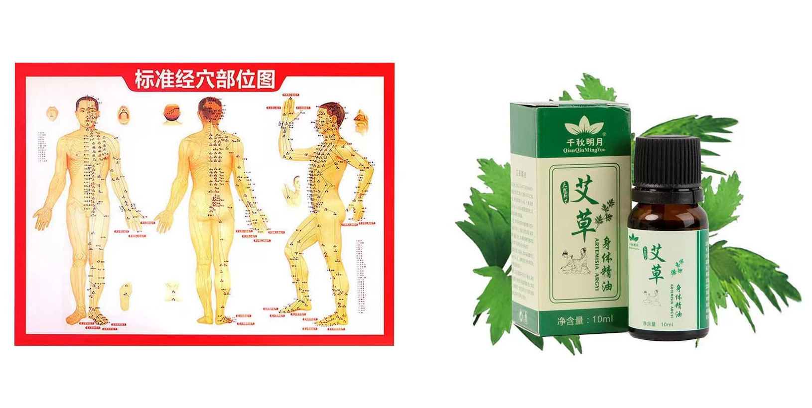 Directa de fábrica de resina pulpo masaje peine cabeza Meridiano peine masaje facial material entero engrosada peine de dientes anchos